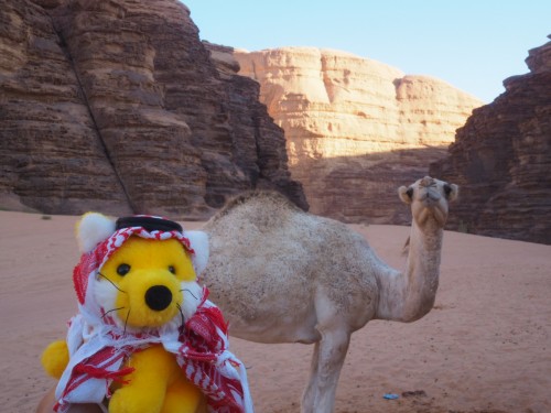 du guckst schön blöd 