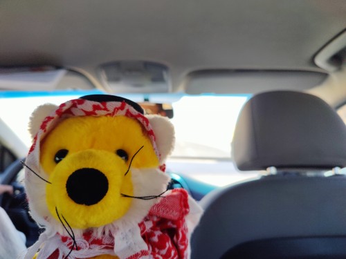 einmal quer durch Jordanien, leider zum Flughafen 